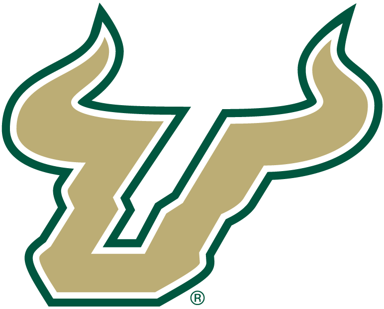 South Florida Bulls 2003-Pres Alternate Logo v2 diy DTF decal sticker